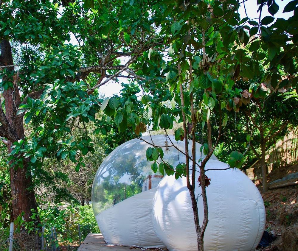Sweet Harmony Hotel Boutique By Xarm Hotels Minca Exterior foto